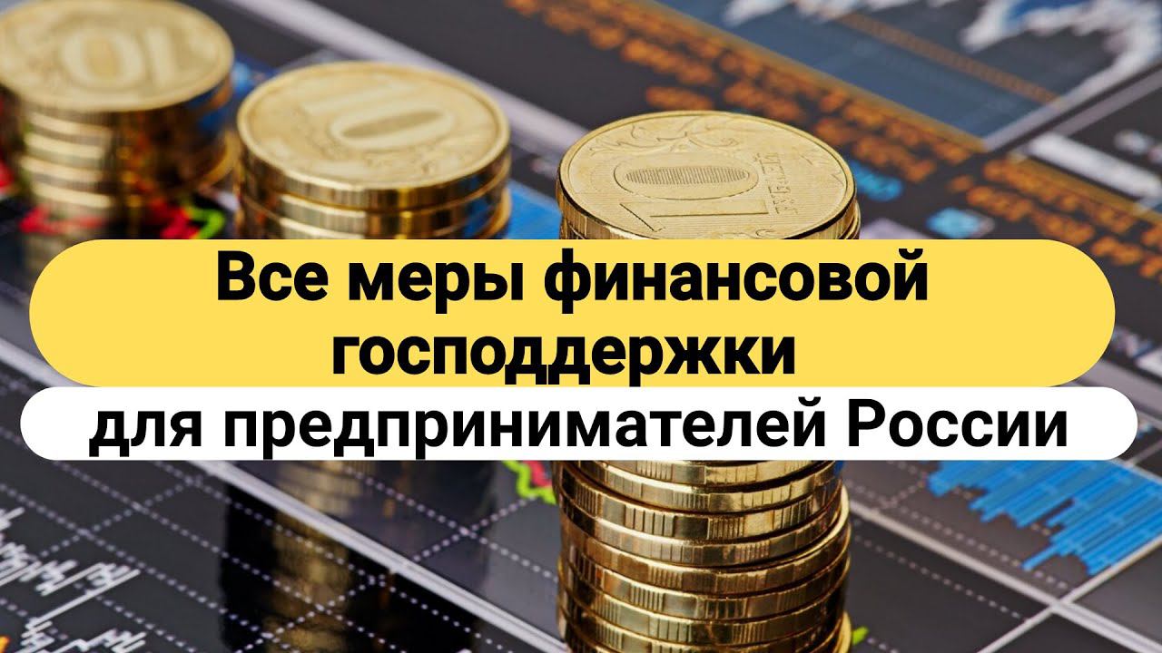 Все меры ФИНАНСОВОЙ господдержки ПРЕДПРИНИМАТЕЛЕЙ России на одной платформе