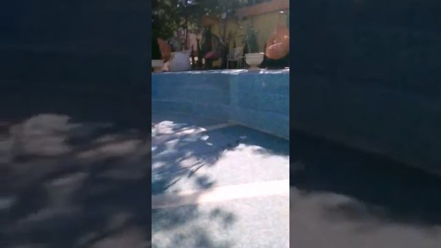 Бассейн стационарный с гидромассажем переливного т смотреть онлайн