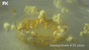 Что происходит внутри СВЧ-печи (скоростная съемка, slow motion)