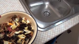 Как организовано использование ЭМ-ведра у меня на кухне. 2017г.