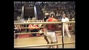 Бокс Шанавазов Нурмагомед   Курнявка Андрей