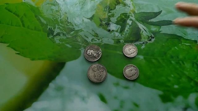 Как звенят настоящие и поддельные серебряные рубли