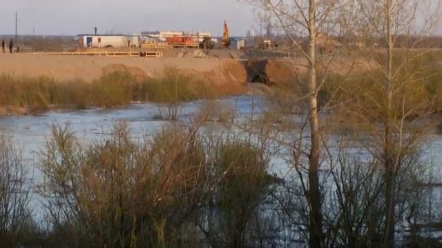 Прорыв дамбы в Тюмени в районе лесобазы смотреть онлайн