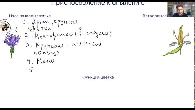 Цветок. Функции и строение | Биология ЕГЭ смотреть онлайн