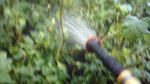 Полив сада (дождевание)