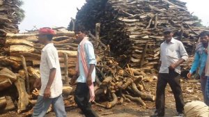 Кремация в индии