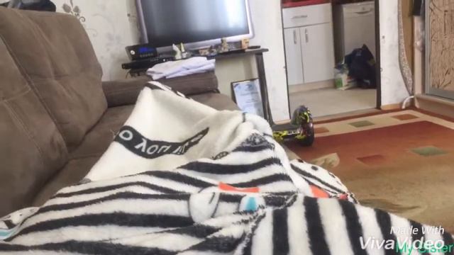 То чувство, когда в одном доме живут две сестры😂