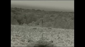 С вабой на волков.  «Он верно спятил, коль поверил в волка простоту»