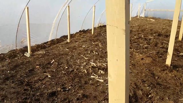 Теплица 15×7быстро и дешево.часть 2 смотреть онлайн