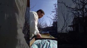 Обработка пчёл от клеща Пихтовым маслом. 1 часть