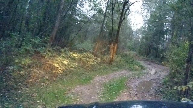 д. Орлово, дорога в лес на Пески смотреть онлайн