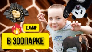 Дамир в ЗООПАРКЕ! КАКОЕ ЖИВОТНОЕ БОЛЬШЕ ВСЕГО ПОНРАВИЛОСЬ?