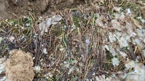 Vanquish 340 vs X-Terra 505 и снова имитация пашни