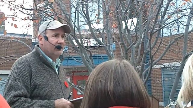 Amelanchier canadensis (Canadian Serviceberry) смотреть онлайн