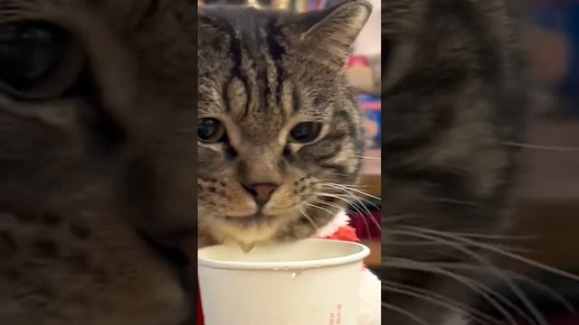 1000002212.mp4 смотреть онлайн