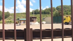 В Сочи дикие медведи растерзали ребенка