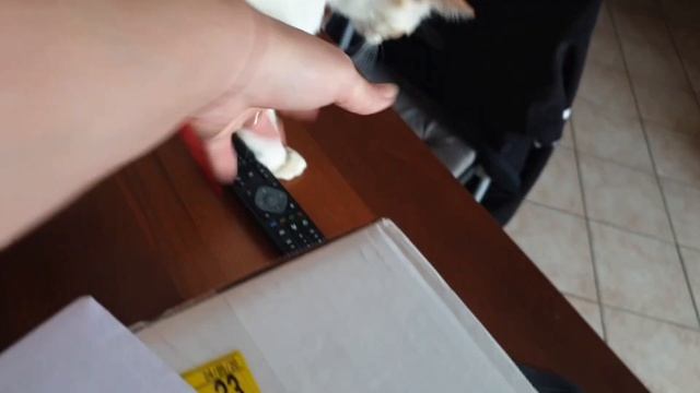 ОСТАВЛЯЮ ПОКУПКИ ВО ДВОРЕ)) НЕЛЬЗЯ ИМЕТЬ РАСПУЩЕННЫЕ ВОЛОСЫ...ПОЧЕМУ смотреть онлайн