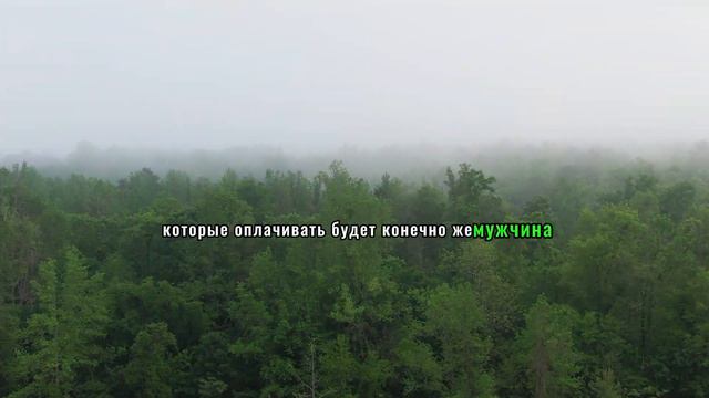 КТО ТАКАЯ ТАРЕЛОЧНИЦА - Психология Отношений - Психология Человека - Психология Общения