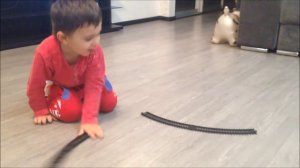 Leva TV: детская железная дорога toy railway