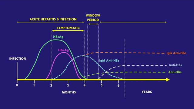 Hepatitis B Serology - How To Interpret смотреть онлайн