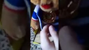 Филя из Спокойной ночи малыши