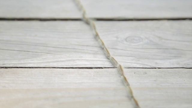 Походный шелкопряд смотреть онлайн