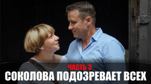 Соколова подозревает всех 3 сезон 1,2,3,4 серия 2023 ТВЦ