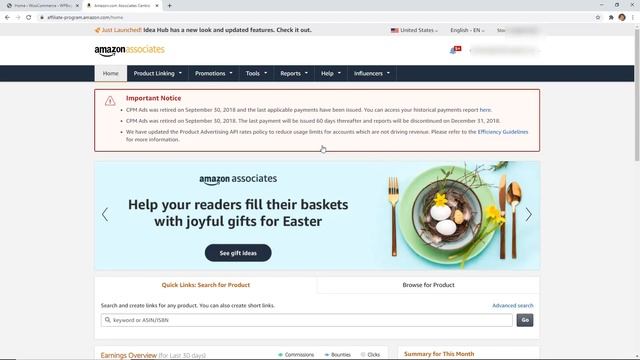 How To Build An Amazon Affiliate Store Using WordPress