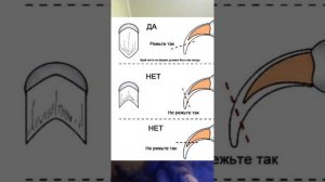как правильно стричь когти кошке коту котёнку советы и ответы