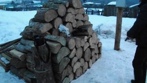 Травмат МР 80-13т выстрел в череп медведя