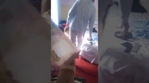 Сын проиграл маме