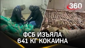 641 кг кокаина и на пожизненное: ФСБ задержала матерых наркодилеров в Санкт-Петербурге