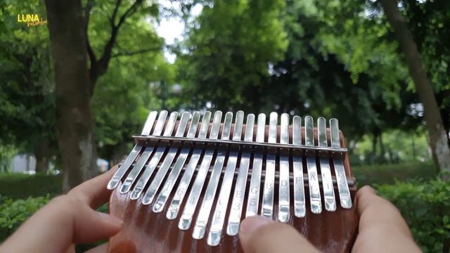 Song From a Secret Garden 🌿 (Secret Garden) | Kalimba Cover смотреть онлайн