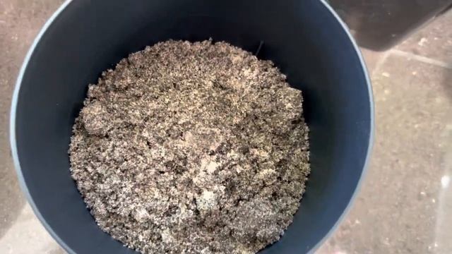 ПРИШЛИ НОВЫЕ ГОРШОЧКИ!!! “HAWORTHIA SCABRA” И “ANACAMPSEROS” ПОСАЖЕНЫ В ОДИН ИЗ НИХ ???? смотреть онлайн