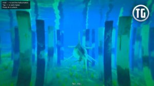 GTA 5 - PLAY AS A SHARK Easter Egg! (GTA V Next Gen)