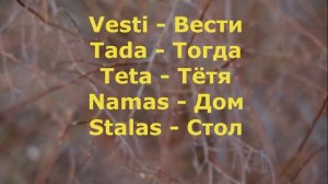 0004 Фразы. Литовский язык.