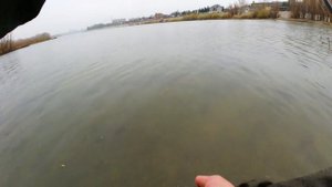 В ШАХТУ! КАКИЕ ПРИМАНКИ РАБОТАЮТ ПО КРУПНОМУ ОКУНЮ?! Рыбалка на спиннинг Crazy Fish Arion 742 suls