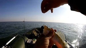 Ловля судака на мандулы!!! Хитрая снасть... выезд 2