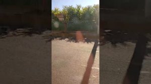 поездка на троллейбусе 281 маршрут 7 Краснодар @TrollebusAvtobusKrasnodar @trolleybusOnelove