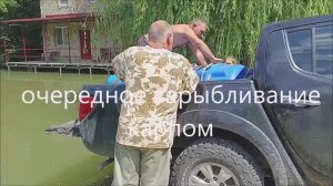 запускаем карпа 2 июля