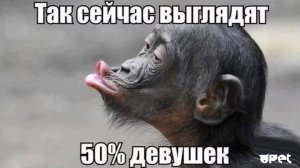 Приколы с обезьянами смотреть всем ПРИКОЛЫ ПРО ЖИВОТНЫХ