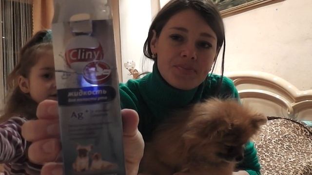 Зубной камень и неприятный запах изо рта у шпица. смотреть онлайн