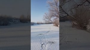 Первый лёд 2020!!! Новосибирск!! Река Чаус!!