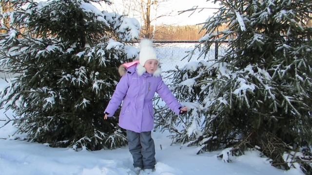 Страна читающая — Юлия Шкляева читает произведение «Чародейкою Зимою…» Ф. И. Тютчева смотреть онлайн