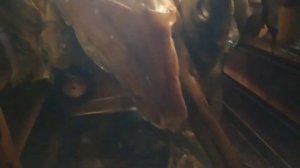 Карп копчёный,простой рецепт