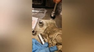 Замена подшипников гребного вала, шимов. Редуктор Suzuki DF30. 2005гв