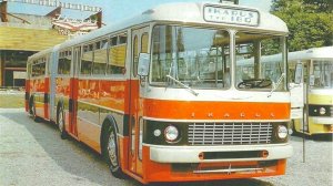 Почему семейство автобусов Ikarus 180/556 получилось именно таким?