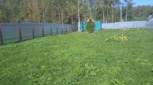 Мой самый ленивый ролик)
