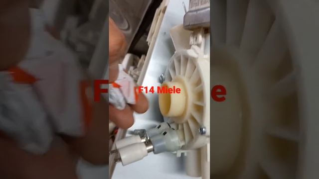 f14 lavastoviglie Miele