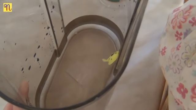 Игры с водой по системе Монтессори